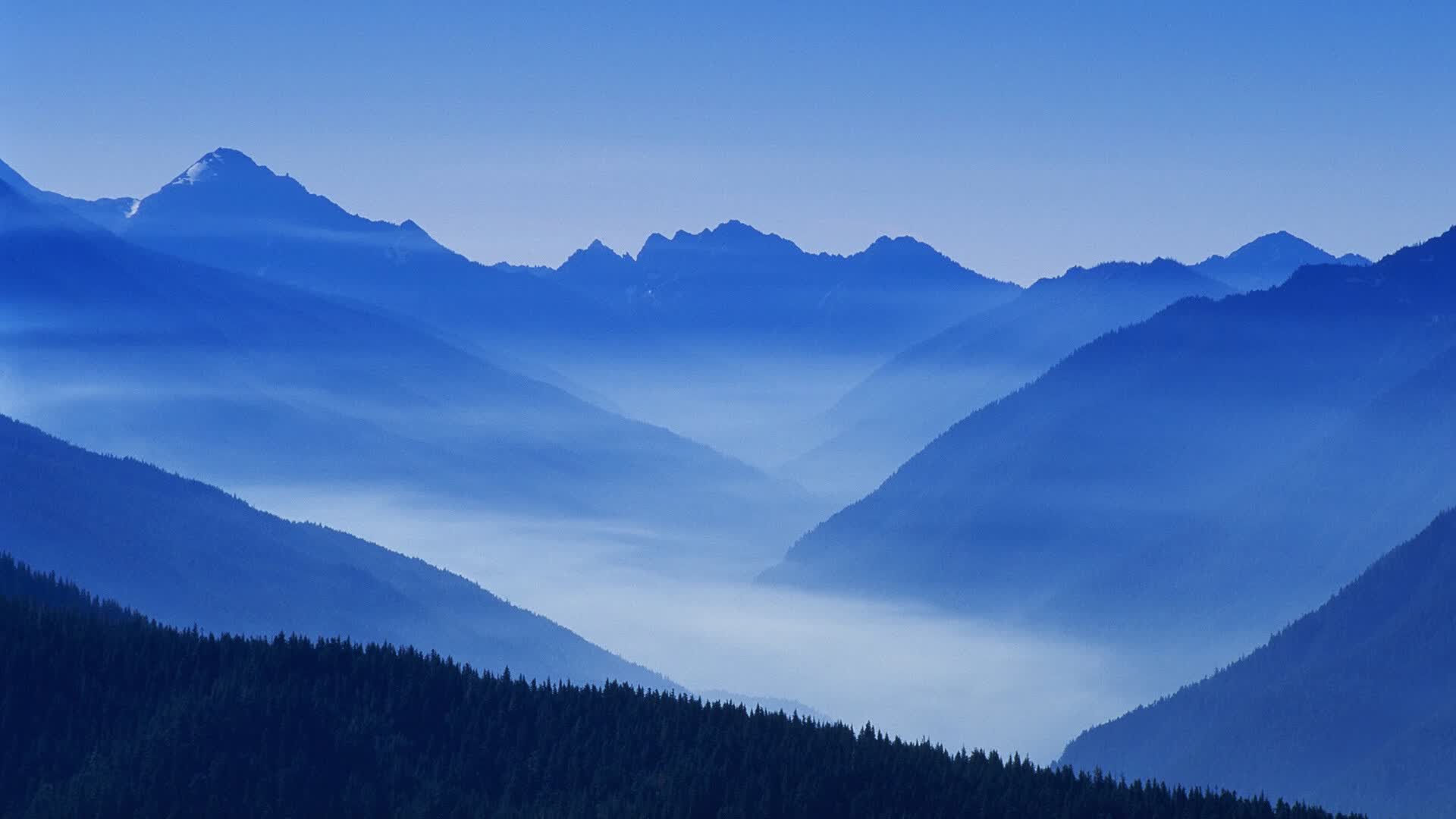 世界短道速滑科研训练模型应用示范基地第15批揭牌通知,世界短道速滑世锦赛